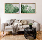 Sylvie Plant Study 6 Framed Canvas by Alicia Abla