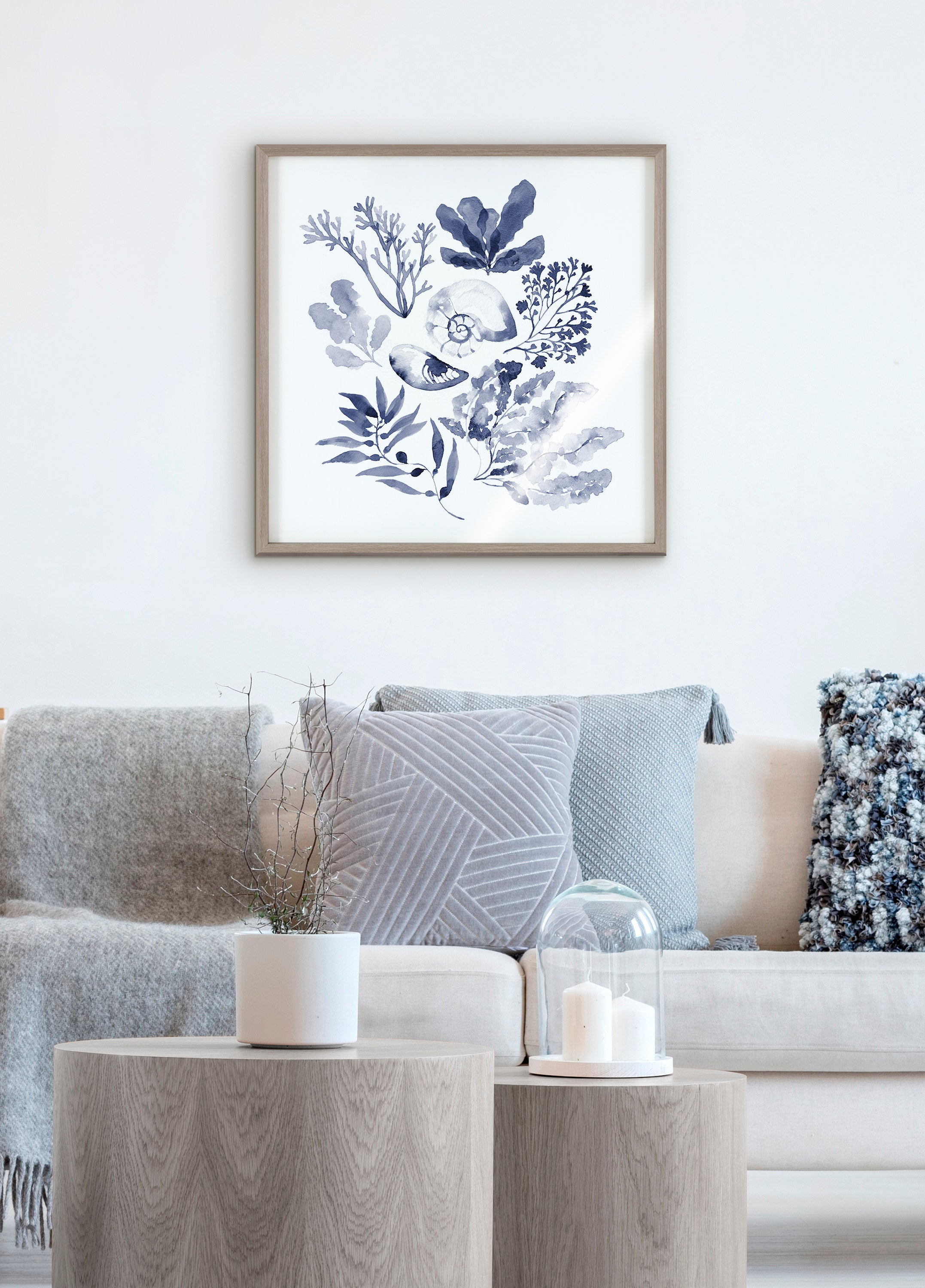Blake Indigo Shells Framed Printed Acrylic by Sara Berrenson