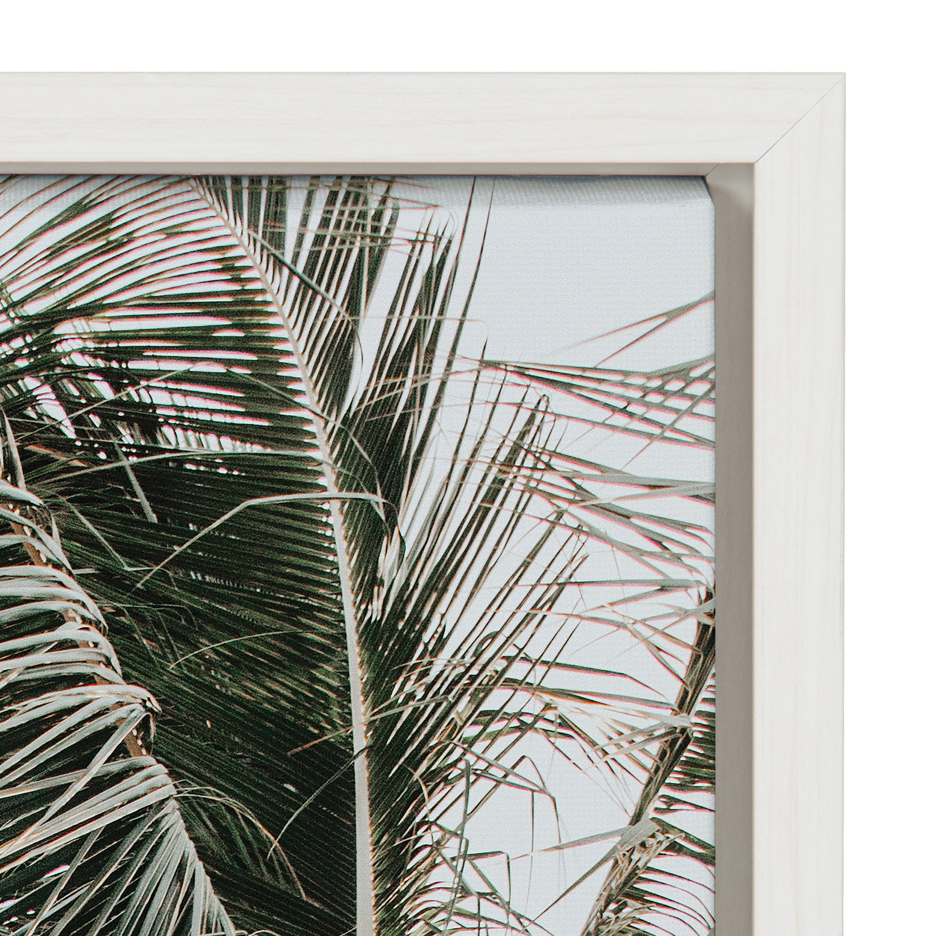 Sylvie Palm Trees Framed Canvas by Alicia Abla