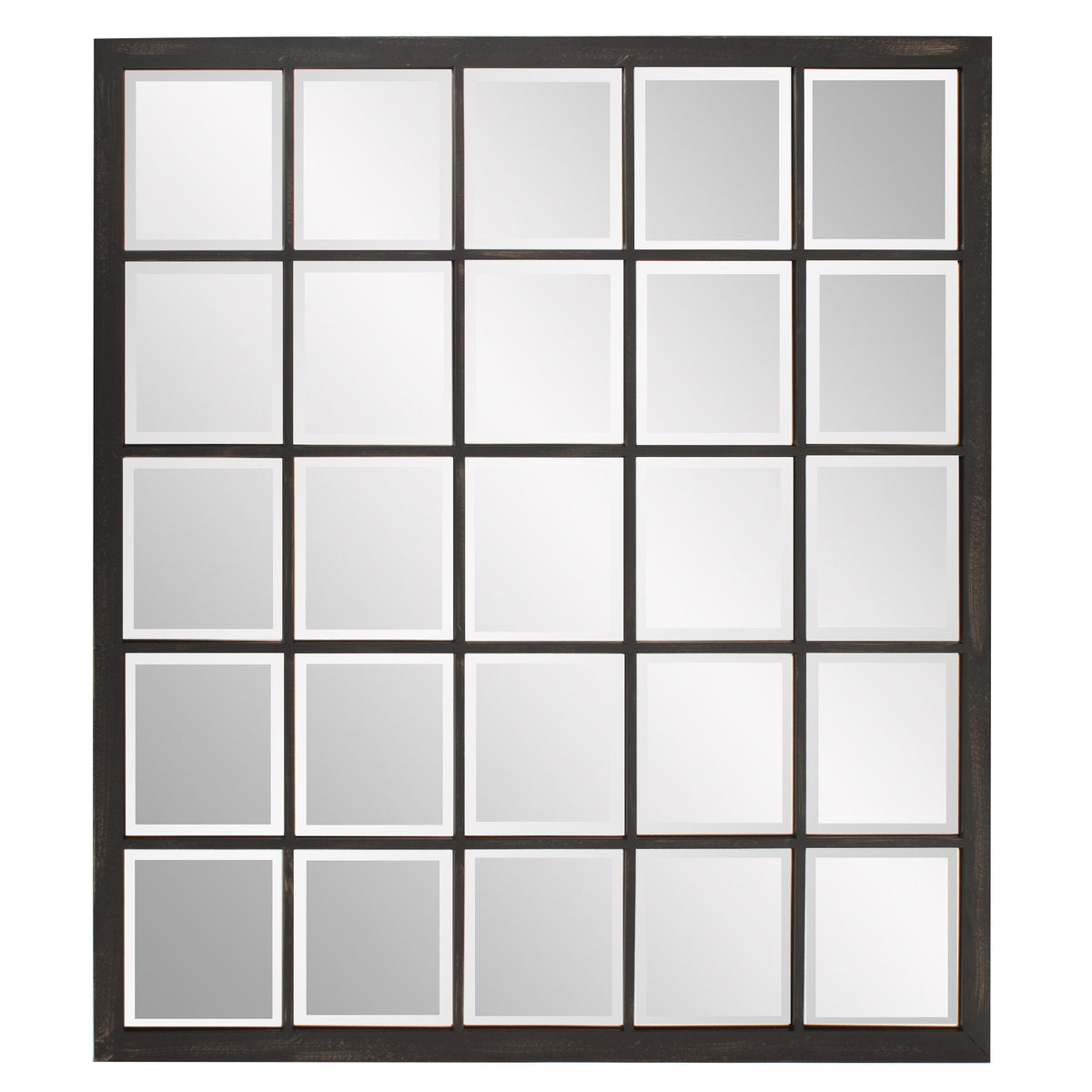HomeRoots Rectangular Antique Black Finish Mirror with Beveled Edge