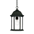 Matte Black Glass Lantern Hanging Light