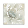 40 Soft Winter Flower Canvas Wall Art