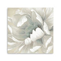 20 Soft Winter Flower in Bloom Canvas Wall Art