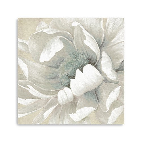 30 Soft Winter Flower in Bloom Canvas Wall Art