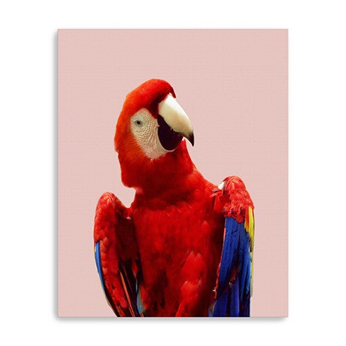 20 Vibrant and Vivid Bird Canvas Wall Art
