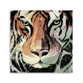 40 Staring Tiger Portrait Canvas Wall Art