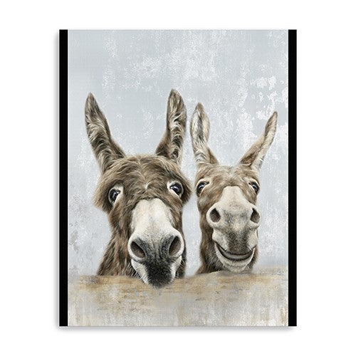 40 Cute Donkeys Canvas Wal Art