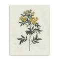 30 Singular Yellow Blossom Branch Canvas Wall Art