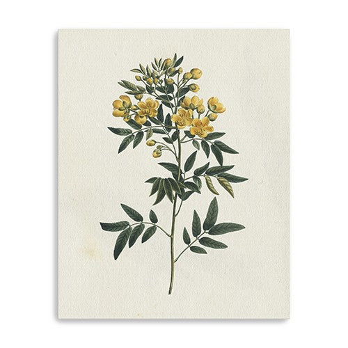 30 Singular Yellow Blossom Branch Canvas Wall Art