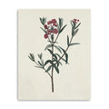 30 Singular Red Blossom Branch Canvas Wall Art
