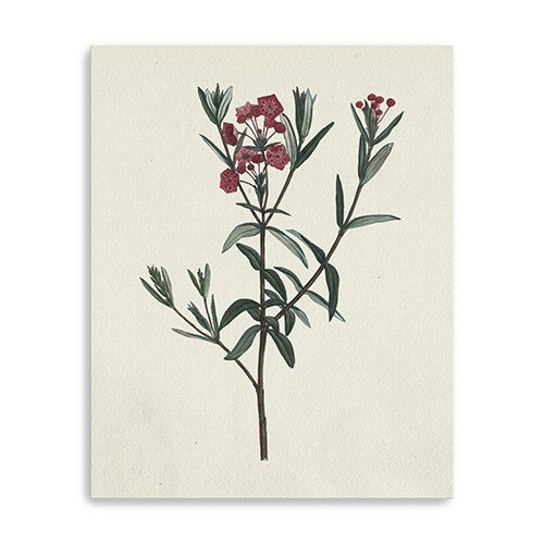 30 Singular Red Blossom Branch Canvas Wall Art