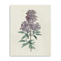 20 Singular Purple Blossom Branch Canvas Wall Art