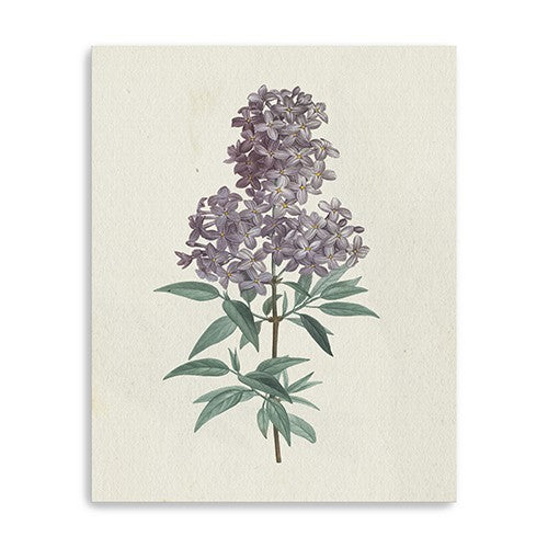 30 Singular Purple Blossom Branch Canvas Wall Art
