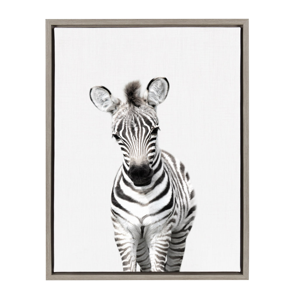 Sylvie Baby Zebra Framed Canvas by Amy Peterson
