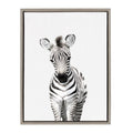 Sylvie Baby Zebra Framed Canvas by Amy Peterson