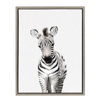 Sylvie Baby Zebra Framed Canvas by Amy Peterson