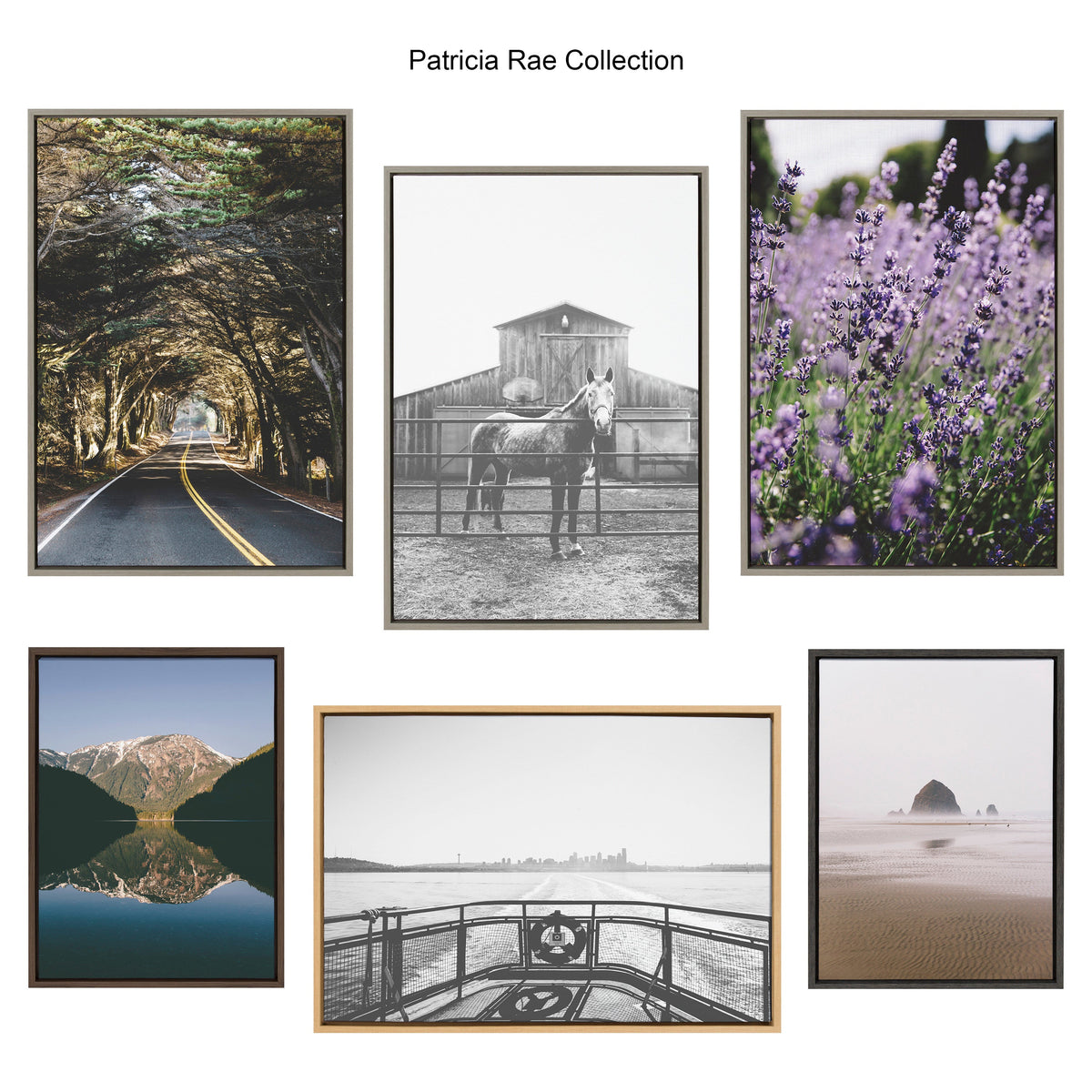 California Dreaming Canvas Wall Art Set by Patricia Hasz