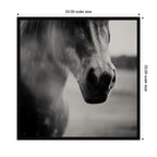 Horse Like Velvet by Laura Evans Framed Wall Art Print