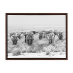 Sylvie Herd of Highland Cows Black and White Framed Canvas by The Creative Bunch Studio