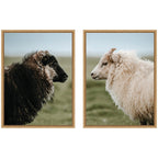 Sylvie Sheeply in Love Framed Canvas Art Set by Michael Schauer
