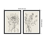 Protea Sketch No. 1 & No. 2 2 Piece Framed Wall Art Print Set by Sara Berrenson