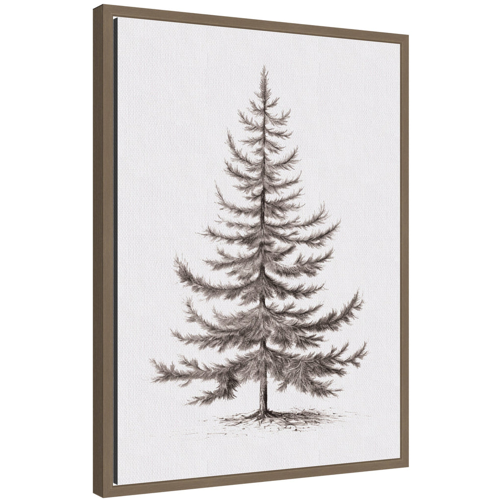 Sylvie Framed Canvas Vintage Evergreen Fir Tree lllustration II by The Creative Bunch Studio