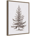 Sylvie Framed Canvas Vintage Evergreen Fir Tree lllustration II by The Creative Bunch Studio
