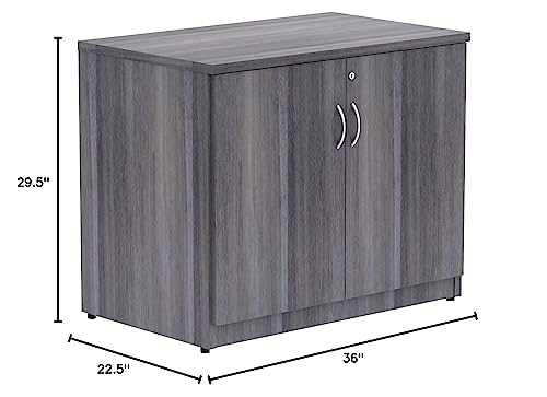 Lorell Essentials 2-Door Storage Cabinet