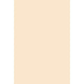 Tagboard, Heavyweight, 24 Quot;X36 Quot;, 100Sh/Pk, Manila