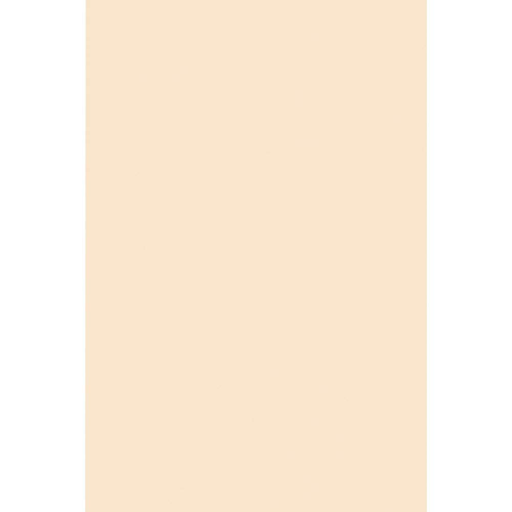 Tagboard, Heavyweight, 24 Quot;X36 Quot;, 100Sh/Pk, Manila