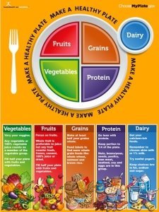 MyPlate Poster - All About My Plate - Nutrition Poster
