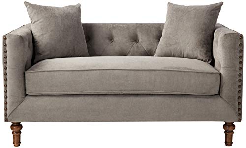 ACME Sidonia Loveseat w/2 Pillows - 53581 - Gray Velvet