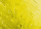 Grumbacher Academy Oil Paint, 37Ml/1.25 Ounce, Cadmium Yellow Light Hue (T319)