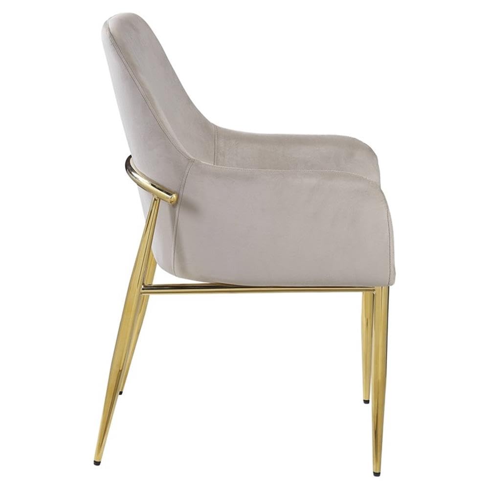 Acme Barnard Velvet Upholstery Side Chair in Gray and Mirrored Gold (Set of 2)