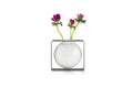 Float Vase Round Flat