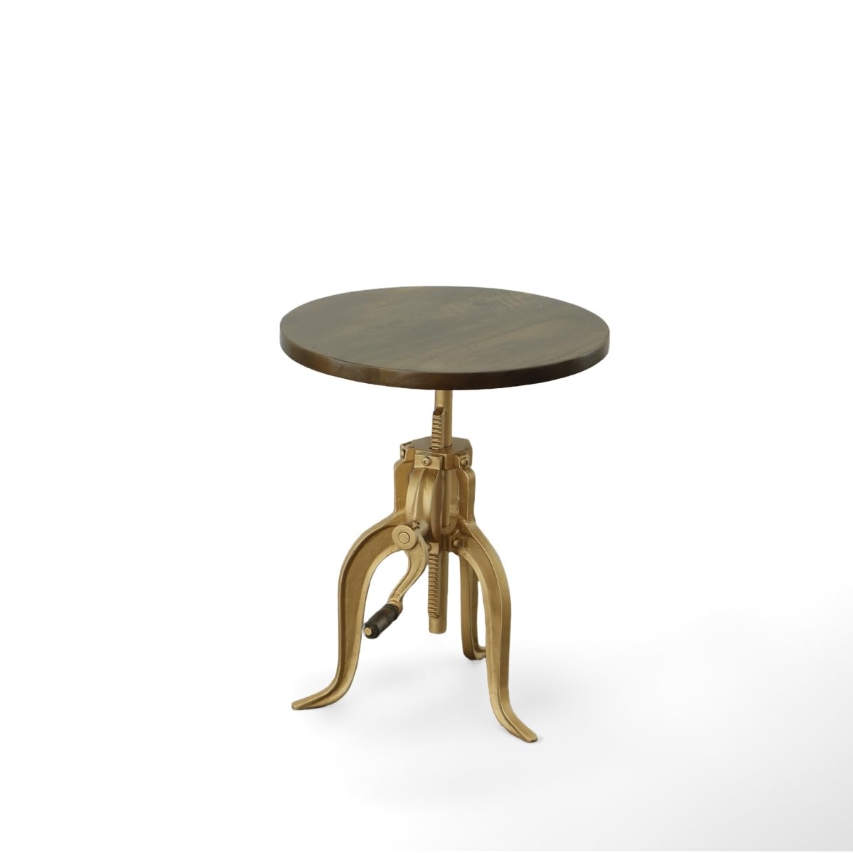 HomeRoots 493239 19 in. Gold & Elm Solid Wood Round End Table