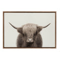 Sylvie Hey Dude Highland Cow Color Framed Canvas by The Creative Bunch Studio