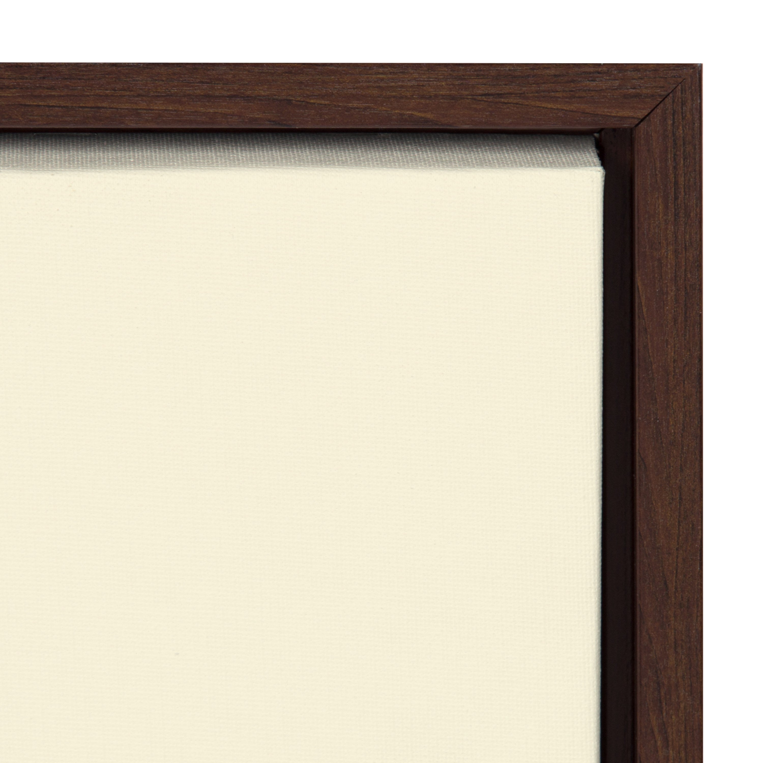 Sylvie Modern Planter Framed Canvas by Amber Leaders Designs