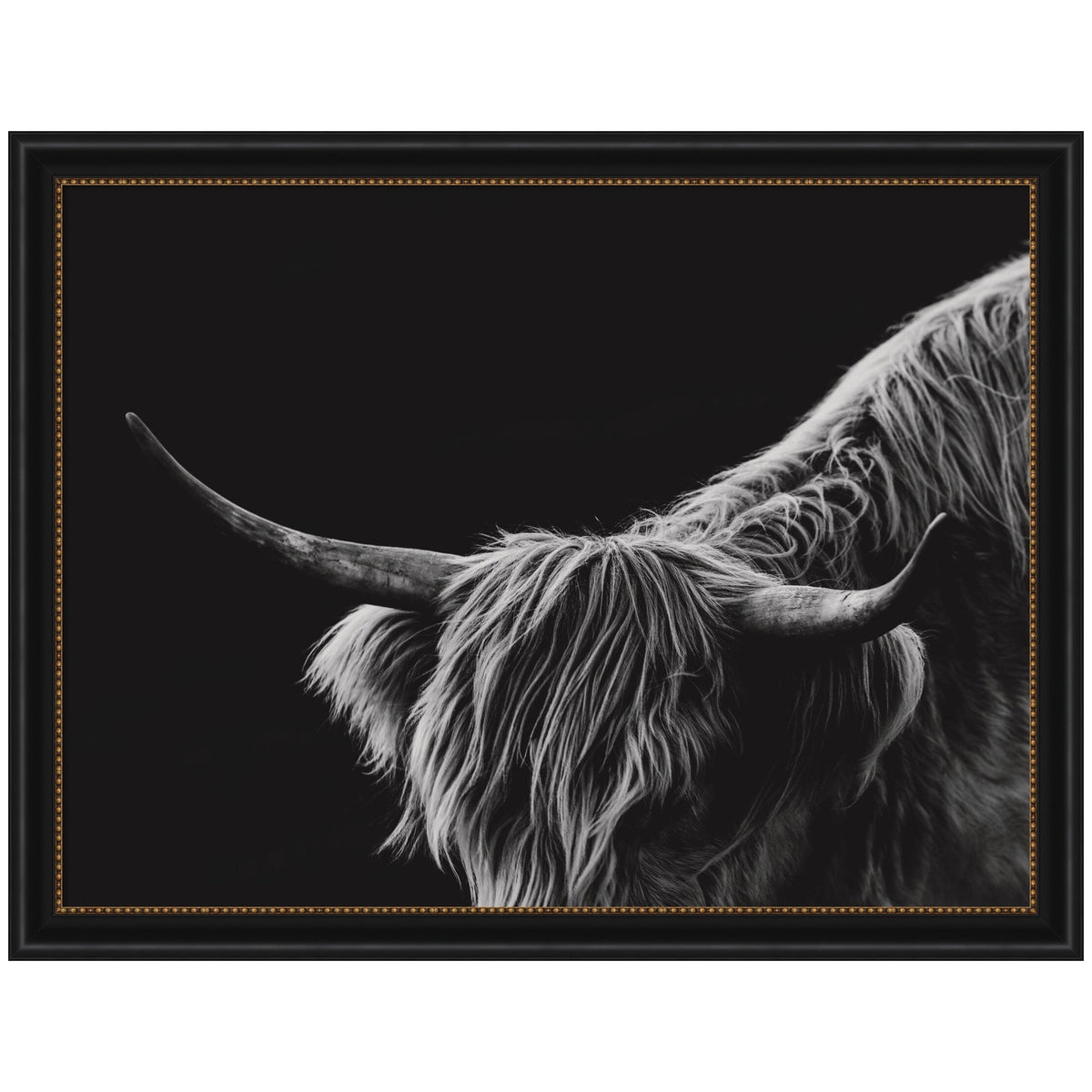Scottish Highland No. 6 by Crystal Lynn Collins Framed Wall Art Print