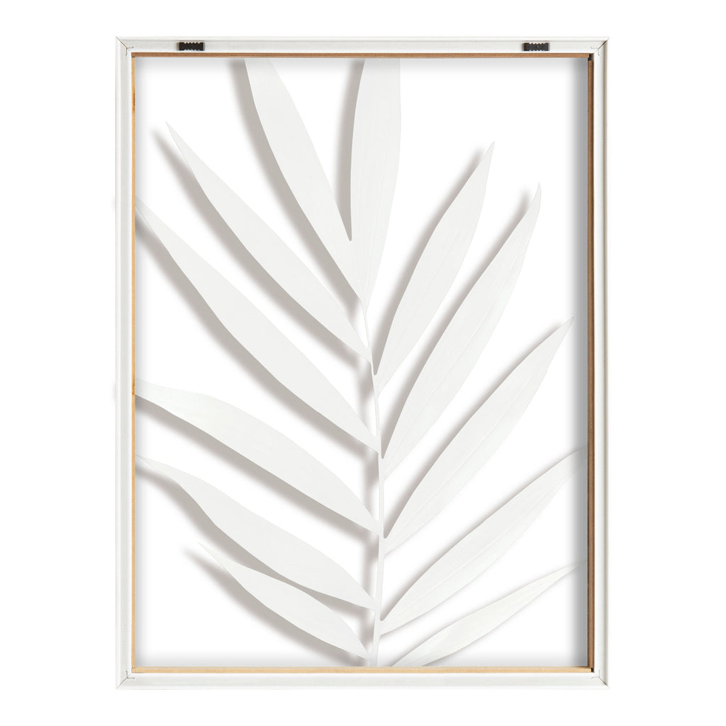 Blake Botanical 5F Framed Printed Glass by Amy Peterson