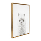 Sylvie Hairy Alpaca Framed Canvas by Simon Te of Tai Prints