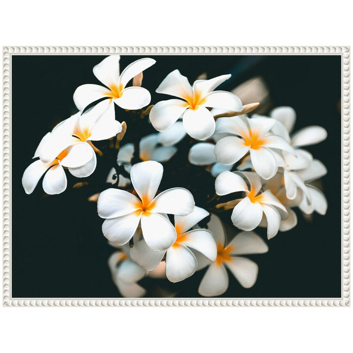 Sylvie Tropical Flowers Framed Canvas by Alicia Abla