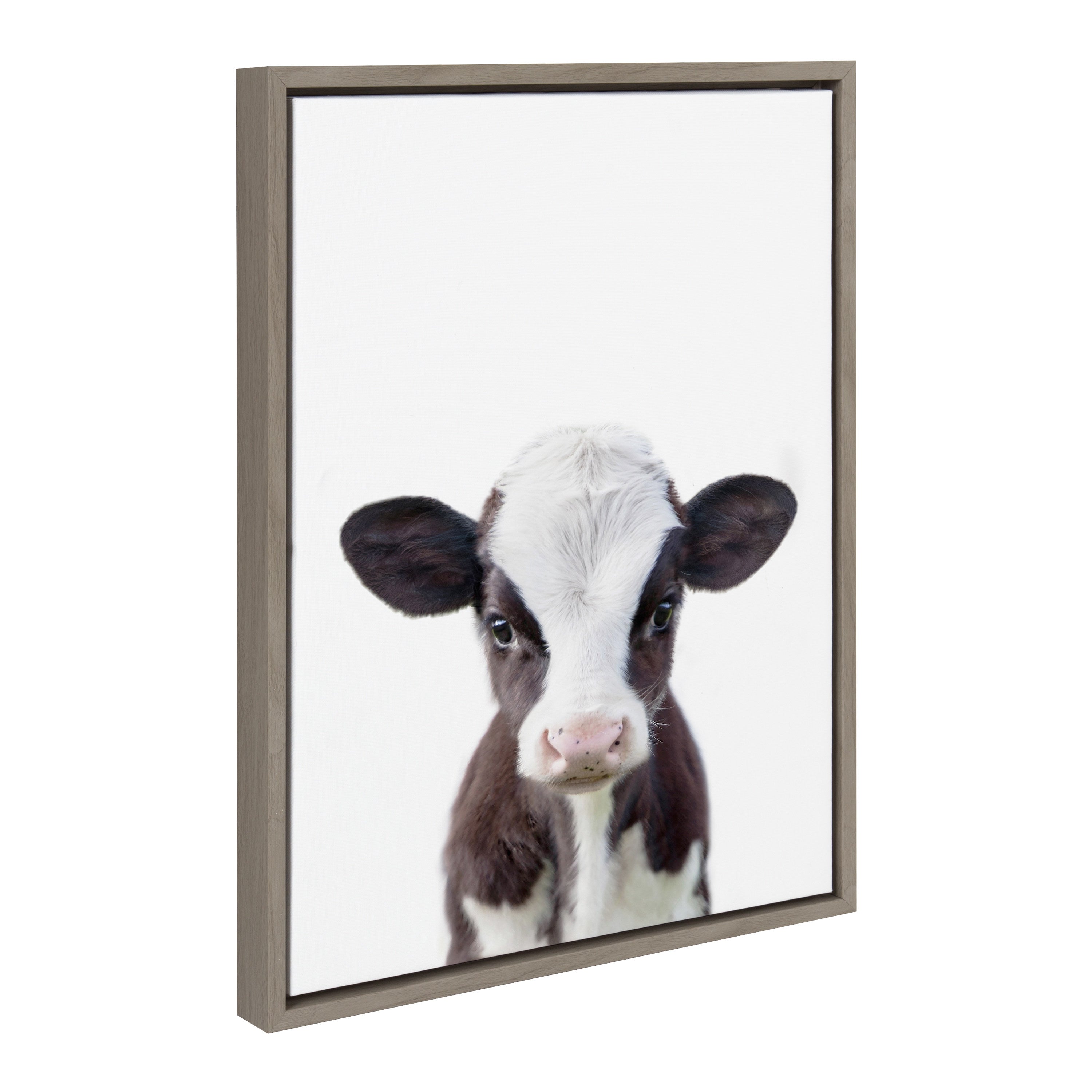 Sylvie Baby Cow Portrait Framed Canvas by Amy Peterson