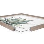 Blake Parrys Agave Framed Printed Glass by Emily Marie Watercolors