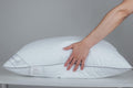 Standard Goose Feather Down Pillow, 100% Soft Cotton Cover Bed Pillow For Sleeping Standard Size (20X26In) Stripe White 1 Pack