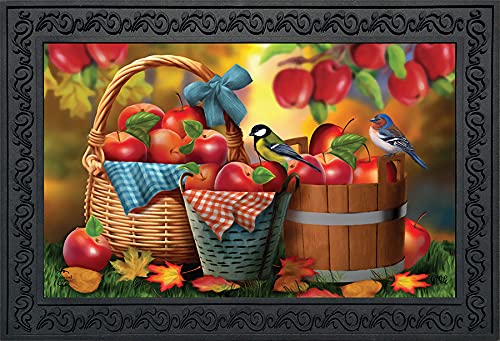Briarwood Lane Black & White Pumpkins Fall Doormat Primitive Autumn Indoor Outdoor 30' X 18'