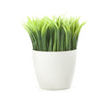 Kikkerland Potted Pen Stand (Sc24)