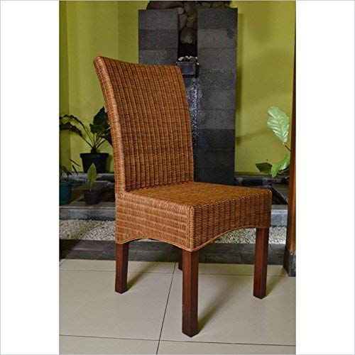 Campbell Salak Brown Rattan Wicker Stained Finish Dining Chairs with Mahogany Hardwood Frame (Set of 2)