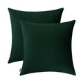 Jeneoo Set of 2 Comfy Accent Soft Velvet Throw Pillow Covers for Sofa Couch, Invisible Zipper Decorative Solid Square Cushion Ca