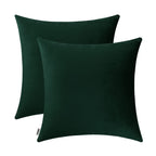 Jeneoo Set of 2 Comfy Accent Soft Velvet Throw Pillow Covers for Sofa Couch, Invisible Zipper Decorative Solid Square Cushion Ca